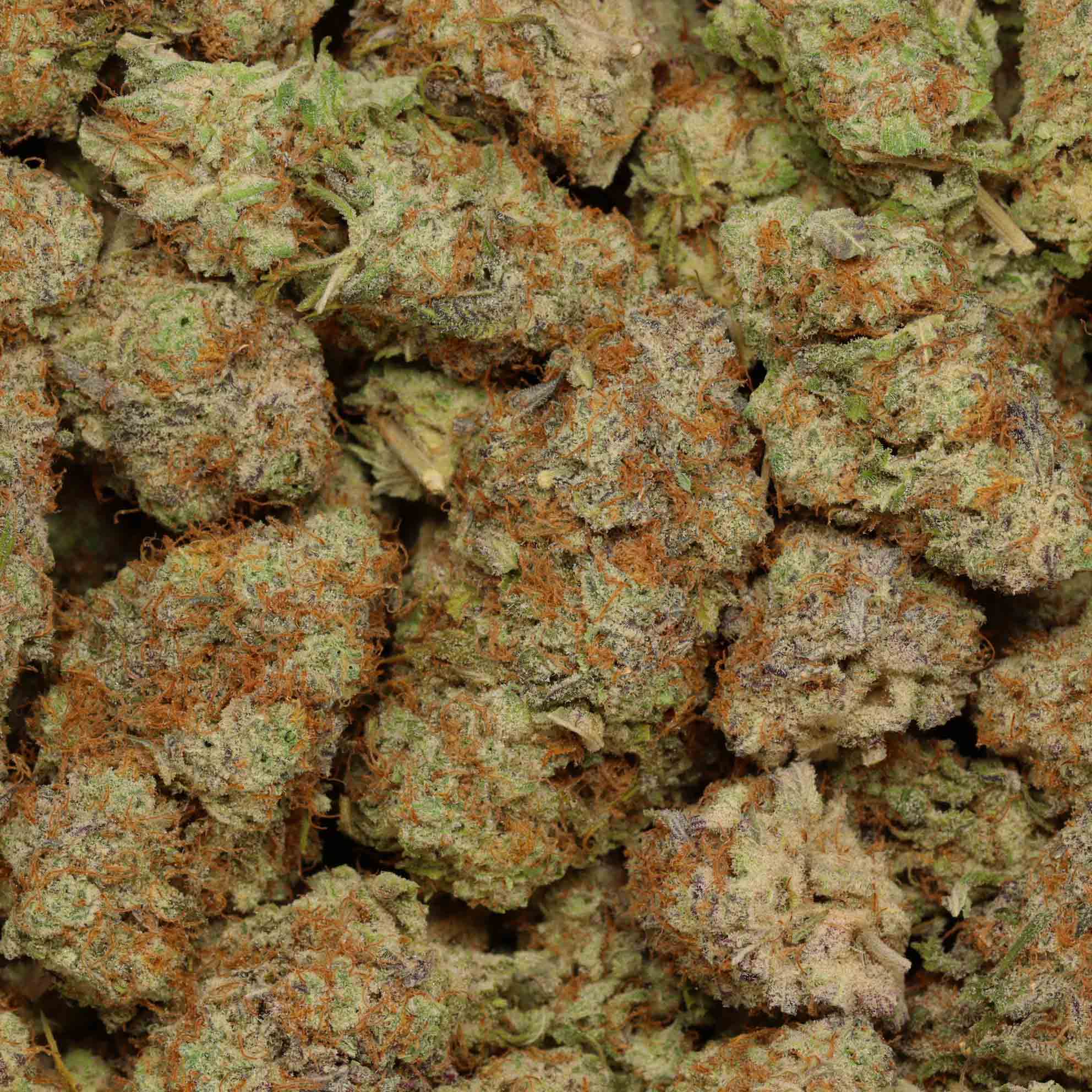 High Octane Og Indica Online Canada Dispensary Bulk Buddy