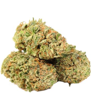 Order Pink Octane Strain Bulk Buddy Online Dispensary Canada