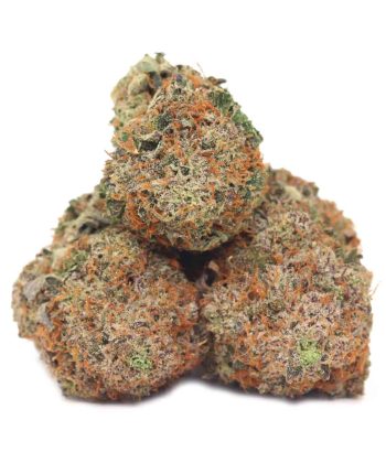 Order Pink Octane Strain Bulk Buddy Online Dispensary Canada