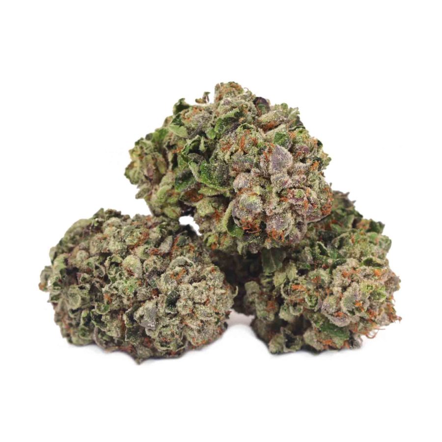 Pink Taco Buy Weed Online At Bulk Buddy Dispensary Canada