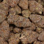 Grape Kush