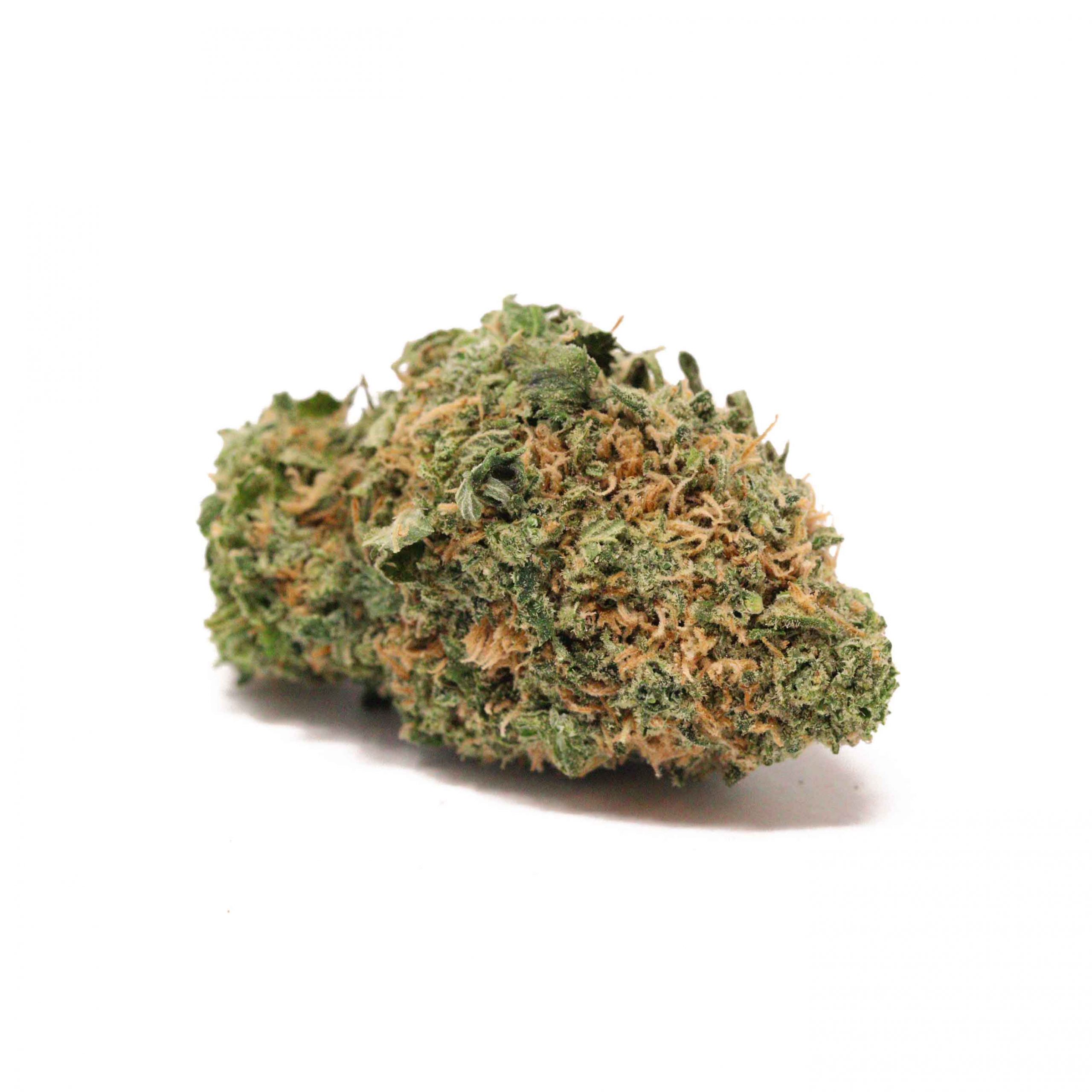 Butterscotch | Buy Weed Online | Bulk Buddy Dispensary Canada