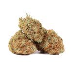 Gelato Punch strain
