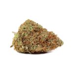 Gelato Punch weed