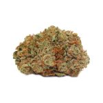 Gorilla Bomb weed