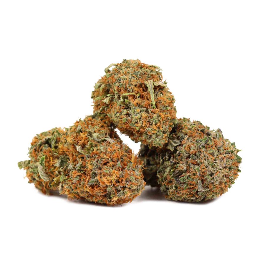 Buy Gas Mask Strain | Bulk Buddy | Online Dispensary Canada