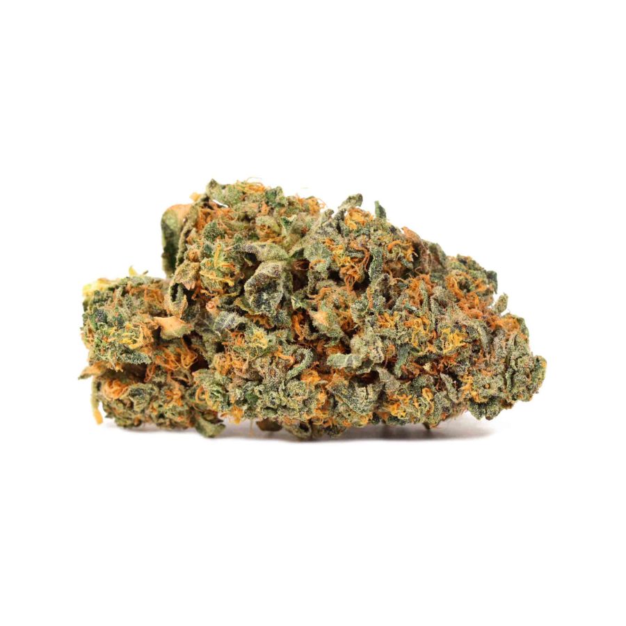 Great White Shark Strain | Online Dispensary Canada | Bulk Buddy