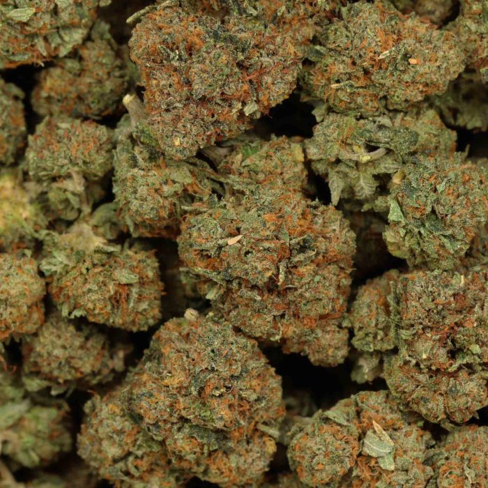 9 Pound Bubba wholesale cannabis