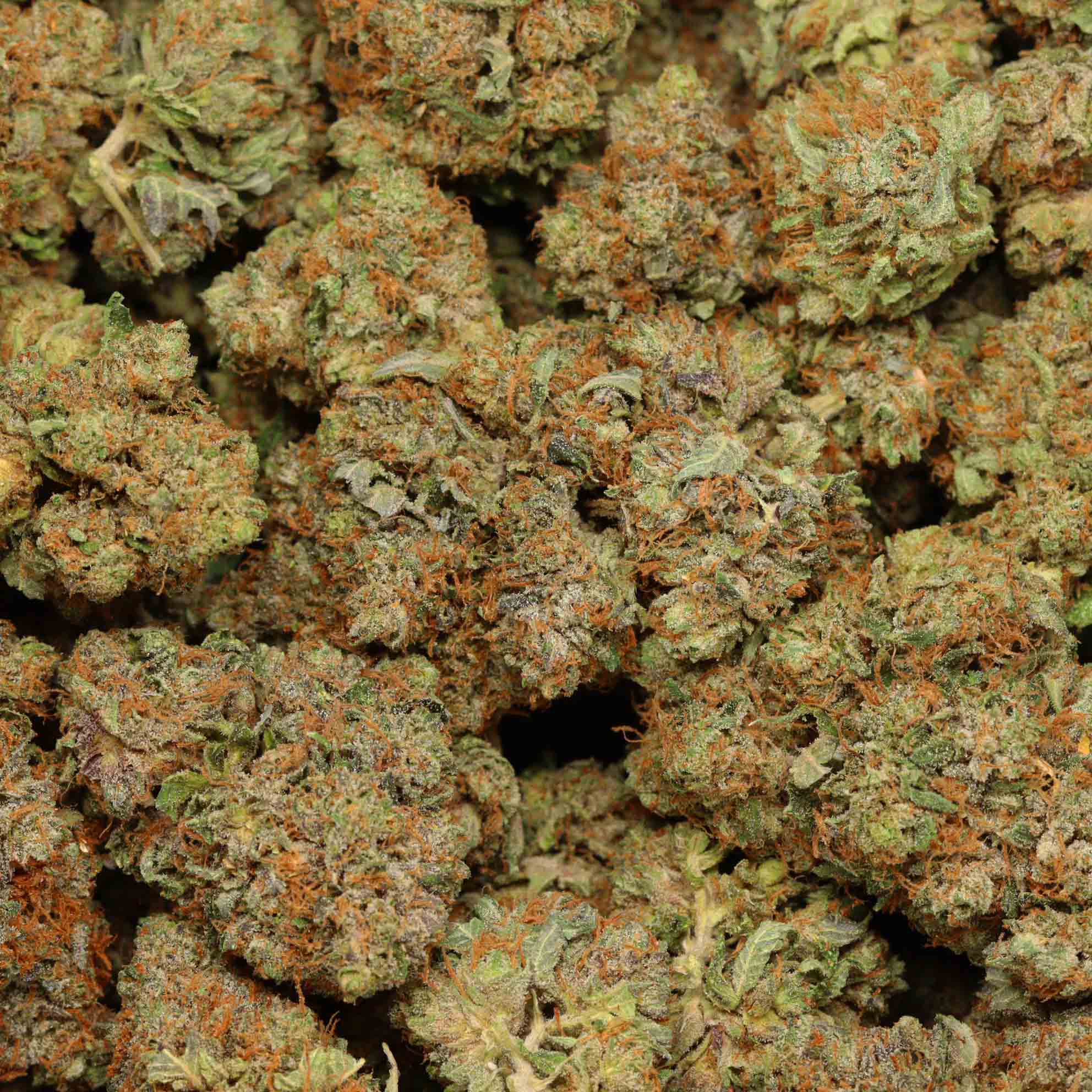 Astro Pink Kush Strain | Online Dispensary Canada | Bulk Buddy