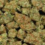 High Five Indica-Dominant wholesale