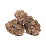Purple Punch AAAA+ strain
