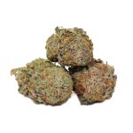 Blueberry Hashplant AAA++ strain