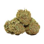 UK Cheese Indica strain