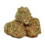 Quantum Kush Sativa Craft strain