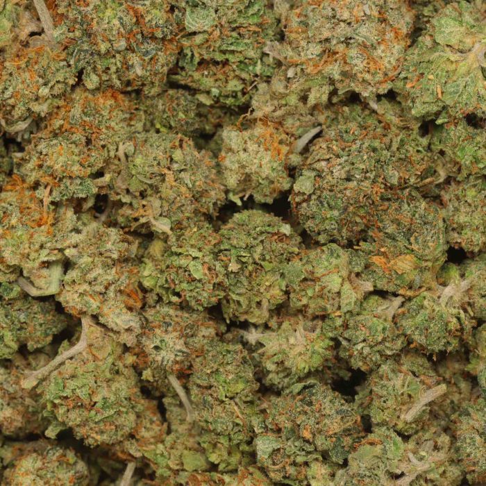 White Death wholesale weed