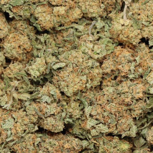 Strawberry Cough wholesale