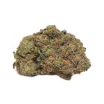 Sherb Quake AAAA+ weed
