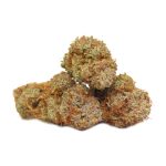 Tangerine Kush strain