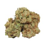 Wifi OG Indica