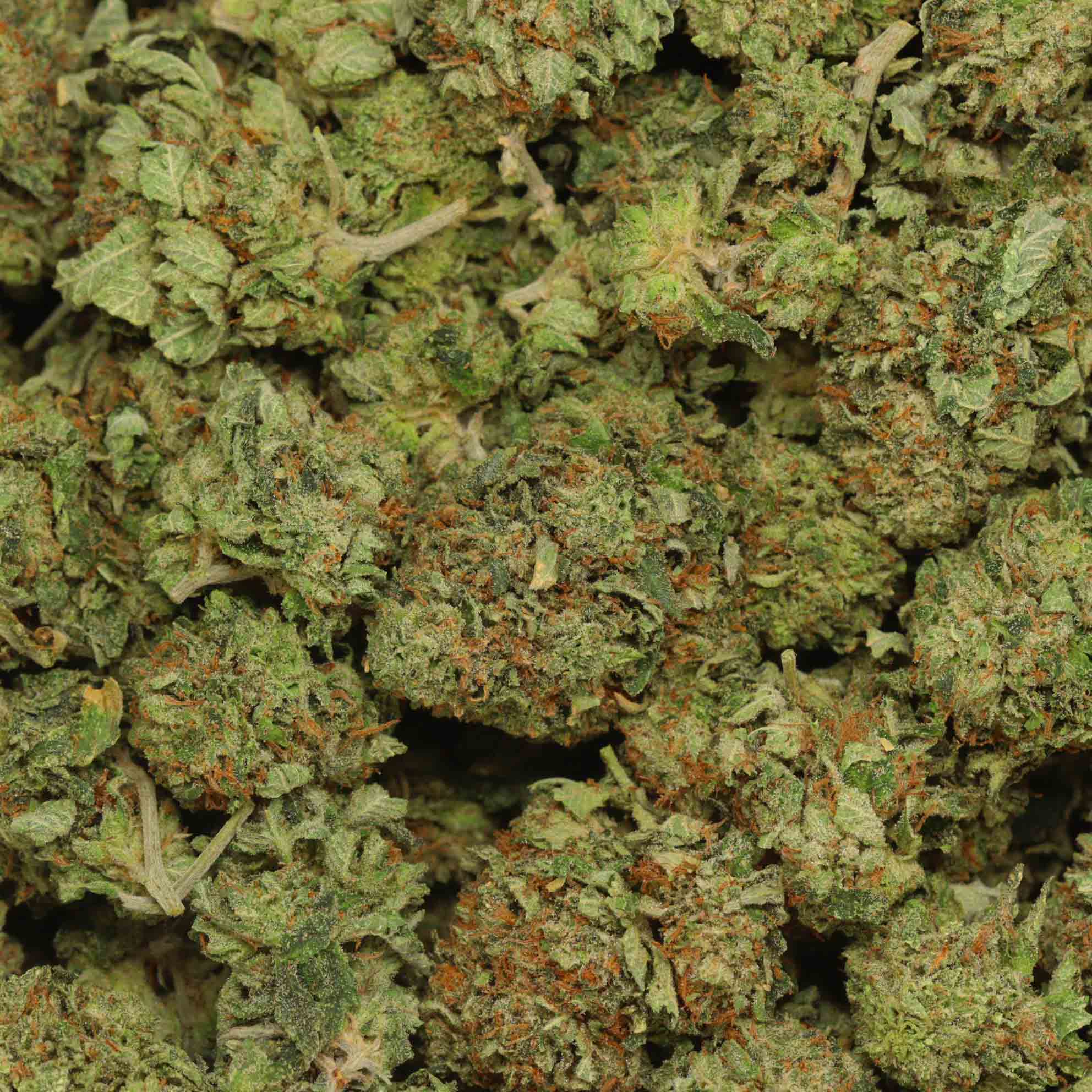 Pink Cali Indica | Order Weed Online | Bulk Buddy Wholesale Bud