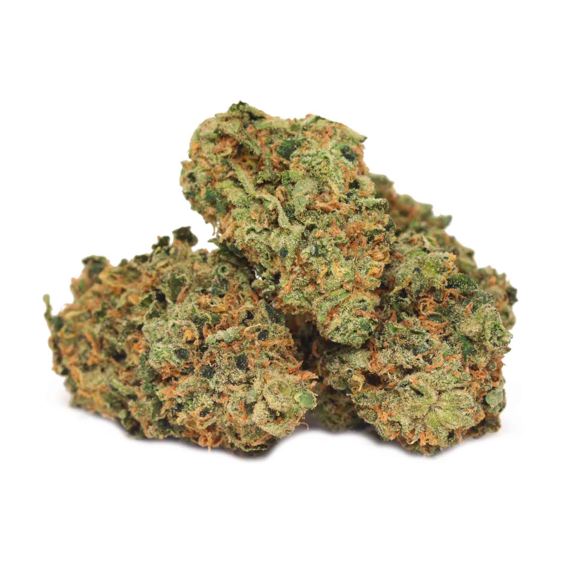 Jack Herer | Buy Weed At Bulk Buddy | Online Dispensary Canada