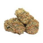 Chronic Haze strain