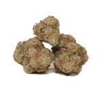 Jack The Ripper Sativa strain