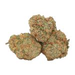 Forbidden Fruit AAAA+ strain