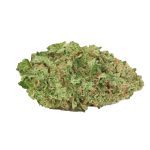 Jack Herer AAA++ weed