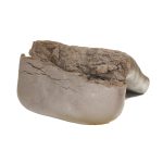Mazar-E-Sharif Hash wholesale