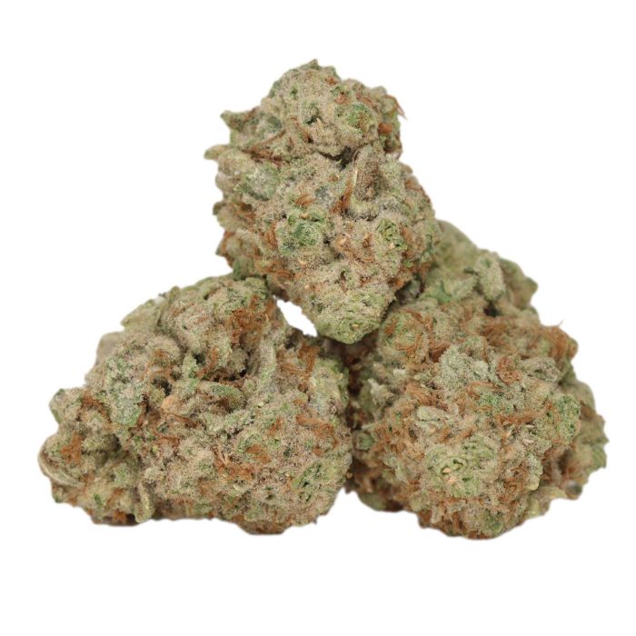 Zombie Kush Indica strain