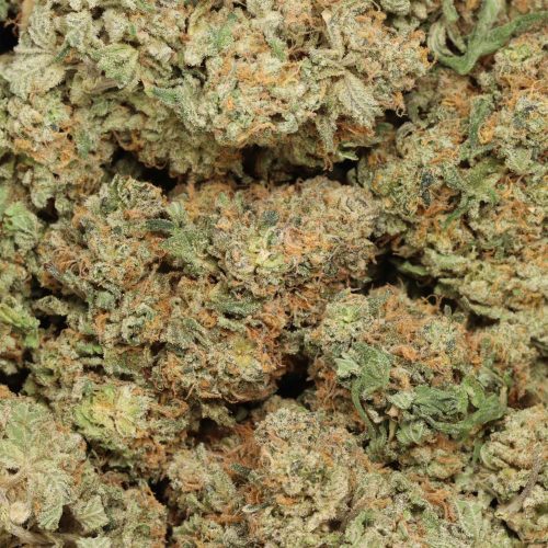 Gorilla Candy wholesale