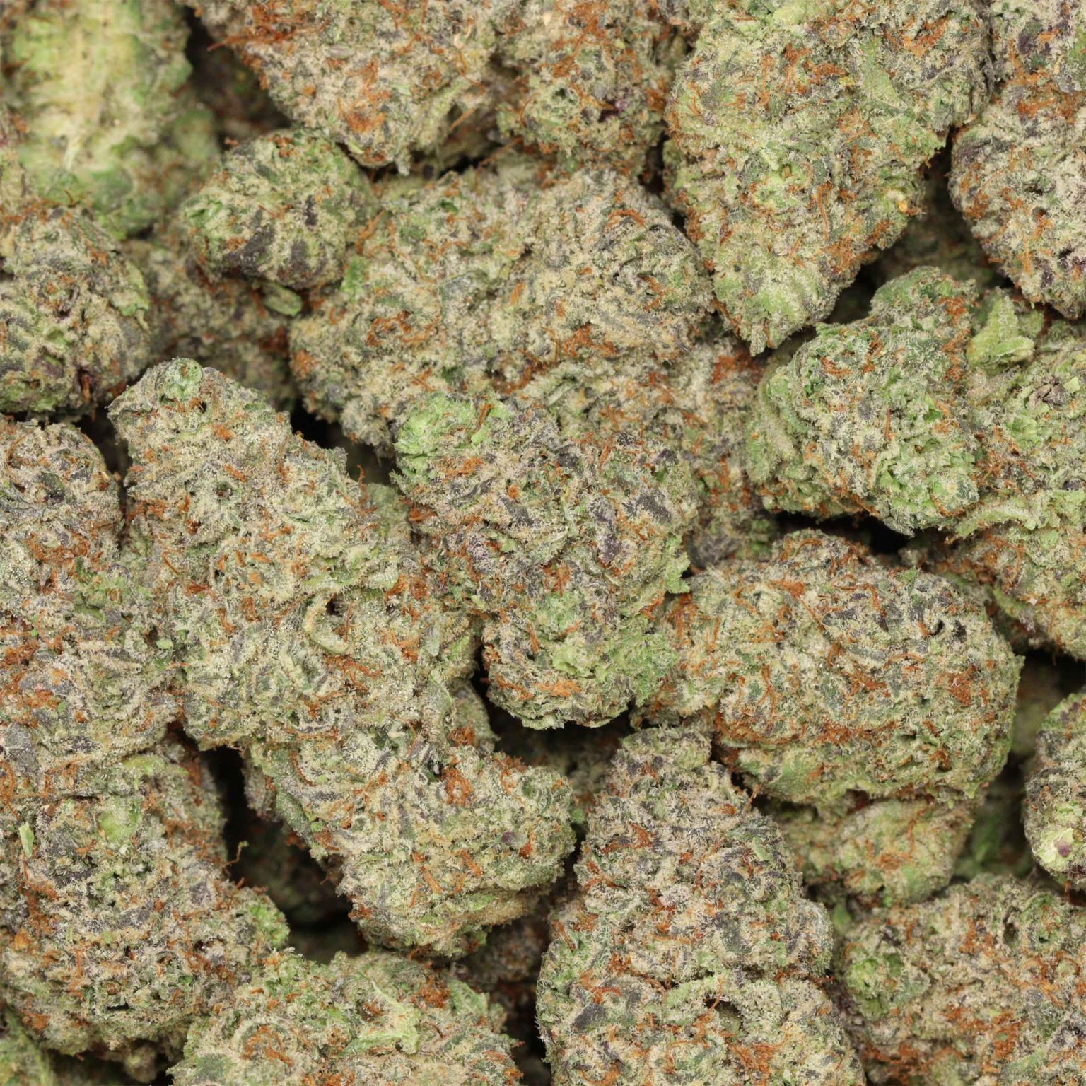 Grape Gasoline Strain Craft | Bulk Buddy Online Dispensary