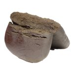 Orca Hash