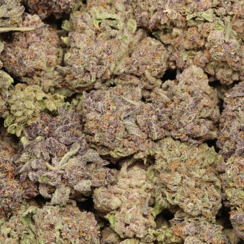 Ultimate Trainwreck wholesale