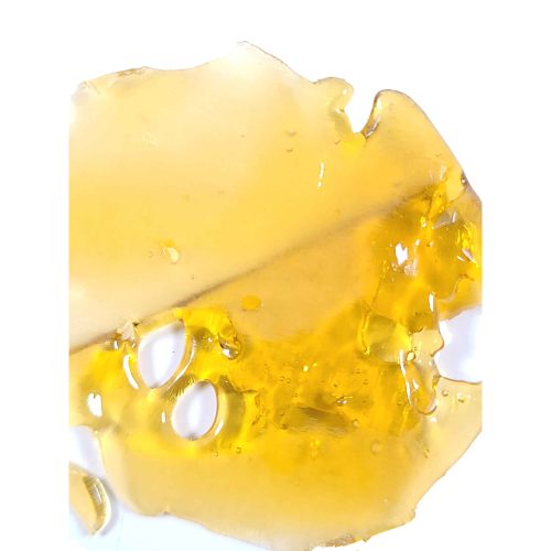 Chocolope Shatter wholesale