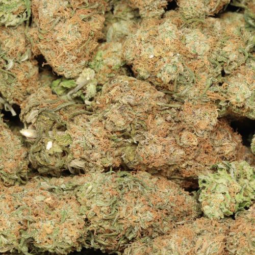 Girl Scout Cookies wholesale