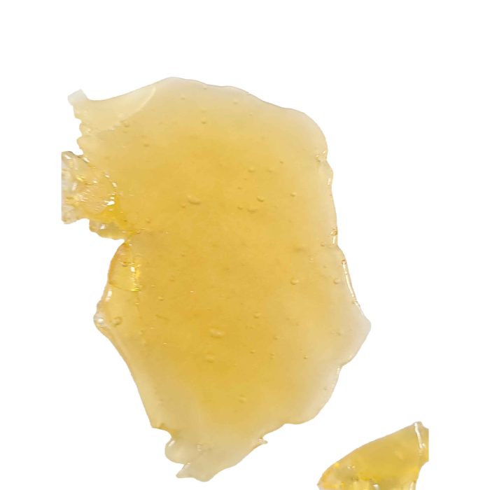 Great White Shark Shatter wholesale