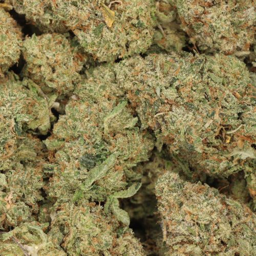 Tuna Kush craft wholesale