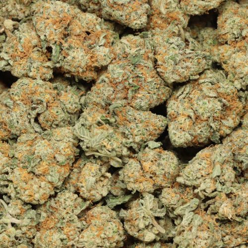 Alien Cookies wholesale