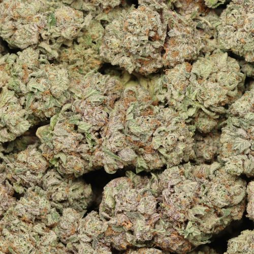 Atomic Blueberry wholesale