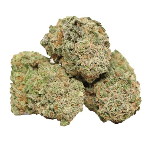 Atomic Bomb strain