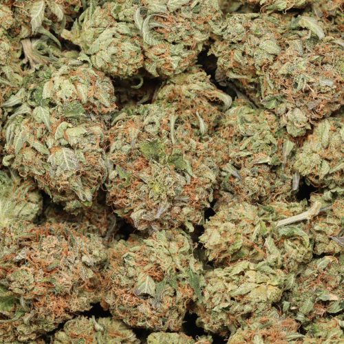 BC Pink Kush wholesale