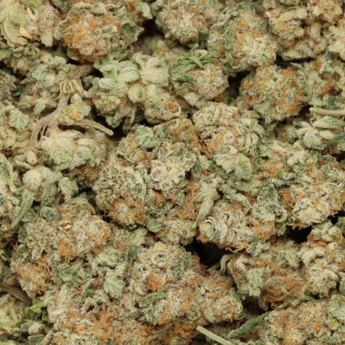 Berry White wholesale