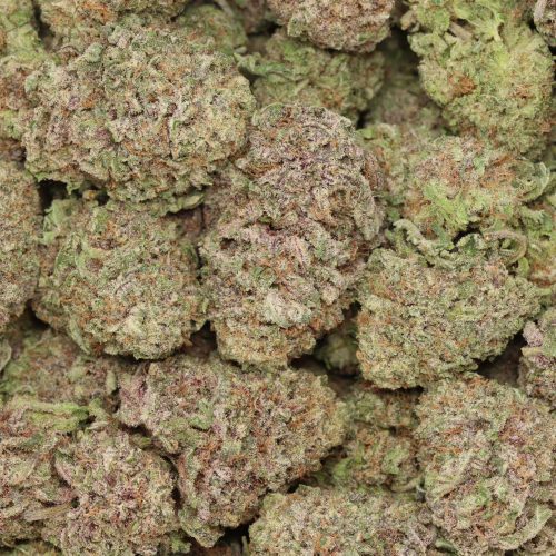 Black Cherry OG wholesale