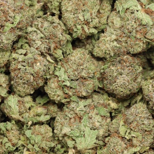 Black Cherry OG wholesale