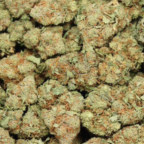 Blueberry AK wholesale