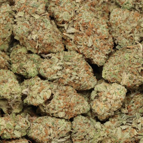 Blueberry Jack wholesale