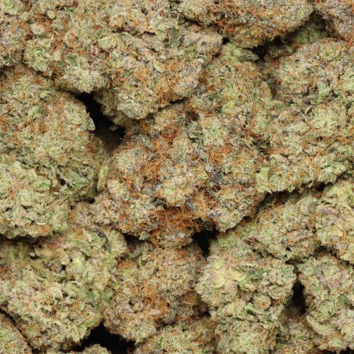 Bruce Banner wholesale