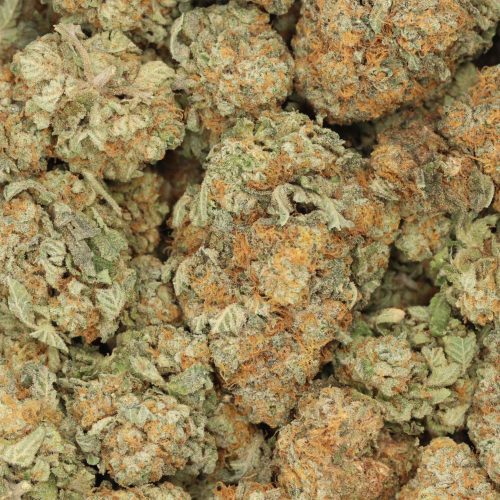 Bubba Kush wholesale